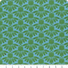 AMT Coneflower - Pool